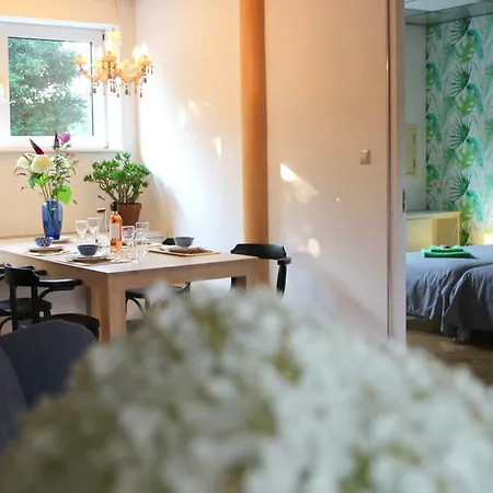 De Oude Kleuterschool Villa Zoelen Buitenkant foto