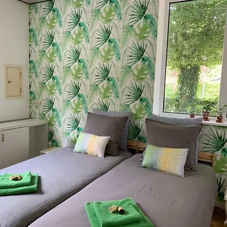 De Oude Kleuterschool Villa Zoelen Buitenkant foto